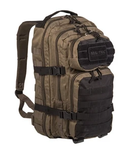 {{productViewItem.photos[photoViewList.activeNavIndex].Alt || productViewItem.photos[photoViewList.activeNavIndex].Description || 'Рюкзак US ASSAULT RANGER Small Green/Black (20 л) Mil-Tec'}}