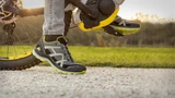 Кроссовки Black Eagle Adventure 2.1 GTX Stone-Citrus Low HAIX 330031