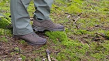 Кроссовки Black Eagle Nature GTX Low HAIX 340017