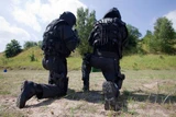 Ботинки Ranger GSG9-S HAIX 203101