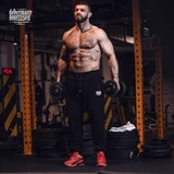 Спортивные брюки Classic Premium Black Dobermans Aggressive SPD268A
