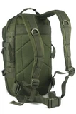 Рюкзак US ASSAULT Small Olive (20 л) Mil-Tec 14002001