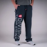 Спортивные брюки M4 Синий Thor Steinar HL-W22-16207-10