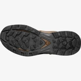 Ботинки Quest 4D GTX Forces 2 EN Earth Brown Salomon 308109-EB