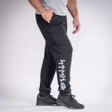 Спортивные брюки Ariald Thor Steinar HL-W23-16217-20