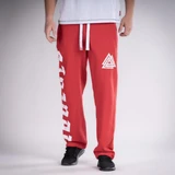 Спортивные брюки Warrior Красный Thor Steinar HL-W23-16214-80