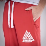 Спортивные брюки Warrior Красный Thor Steinar HL-W23-16214-80