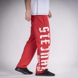 Спортивные брюки Warrior Красный Thor Steinar HL-W23-16214-80
