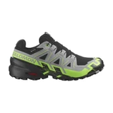 Кроссовки Speedcross 6 Forces GTX Black/Alloy Salomon
