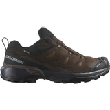 Кроссовки X ULTRA 360 LTR GTX Dark Earth/Delicioso Salomon