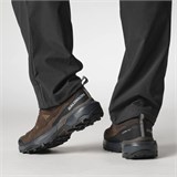 Кроссовки X ULTRA 360 LTR GTX Dark Earth/Delicioso Salomon L47571200