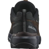 Кроссовки X ULTRA 360 LTR GTX Dark Earth/Delicioso Salomon L47571200