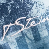 Thor Steinar Vestre