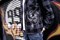 Рубашка Motörhead - фото 9955